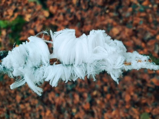 hairice