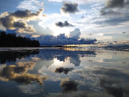 borneo