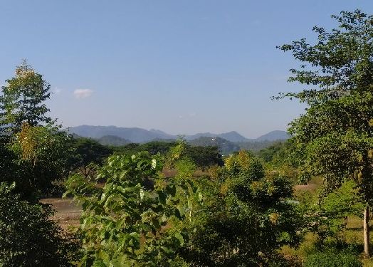 maesariang